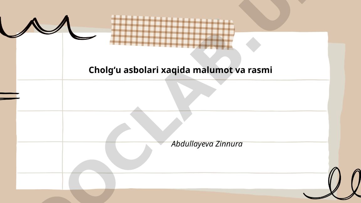 Cholgʻu asboblari: Dutar, Rubob va Tanbur haqida ma'lumot