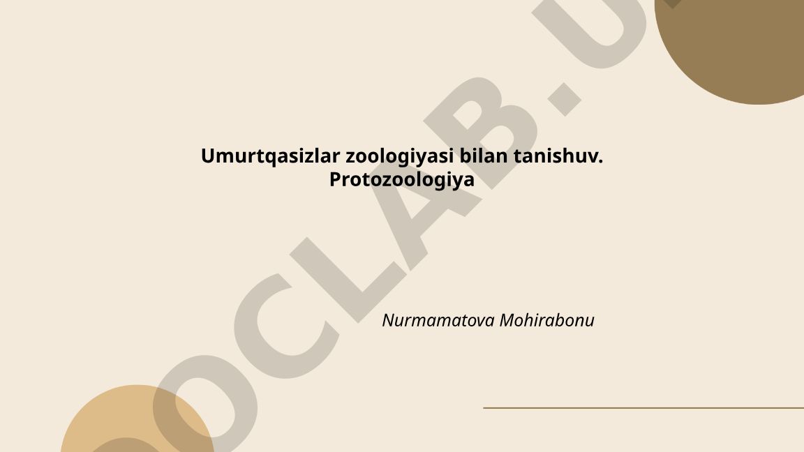 Umurtqasizlar zoologiyasi va protozoologiya