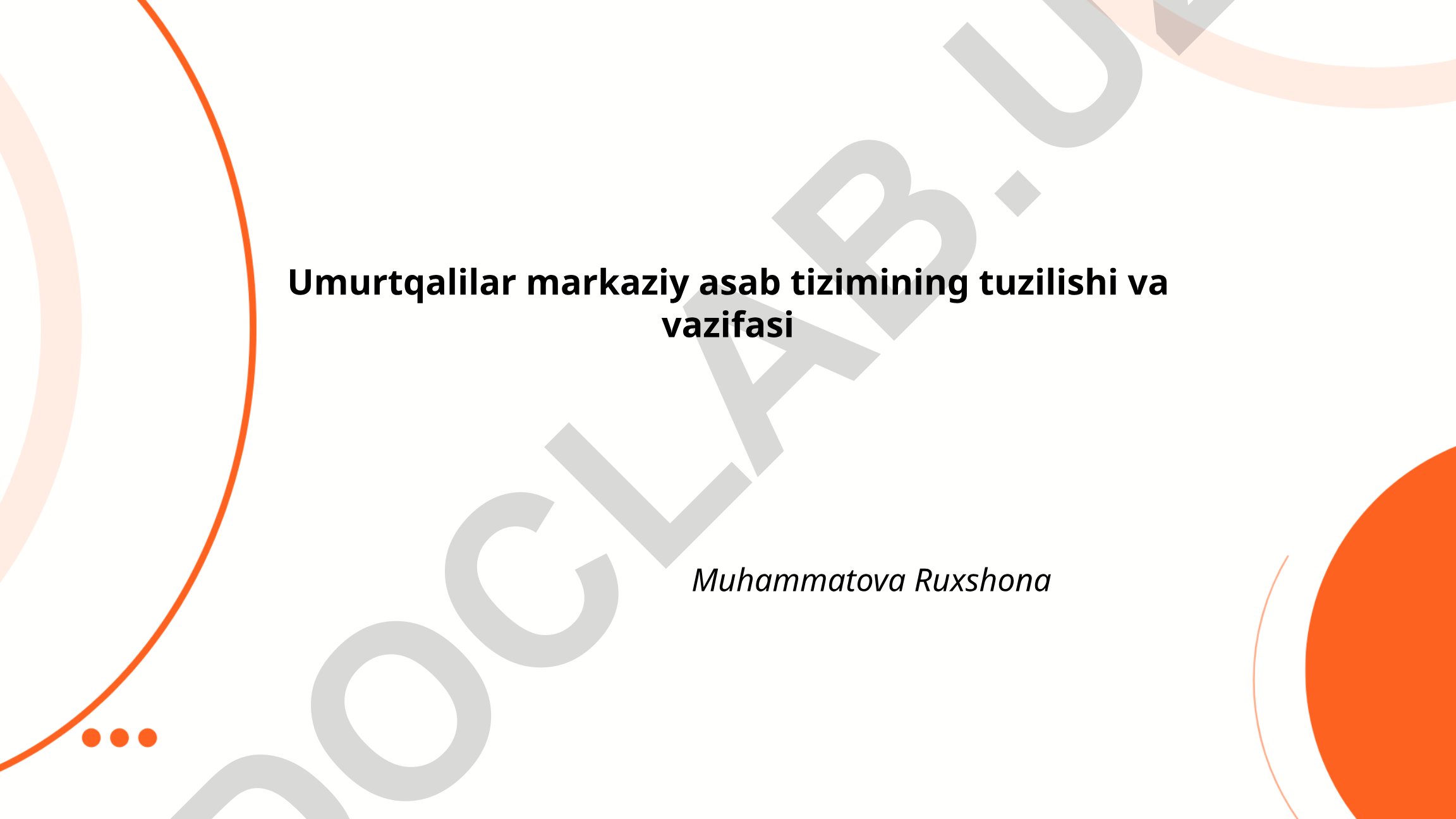 Umurtqalilar markaziy asab tizimining tuzilishi va vazifasi