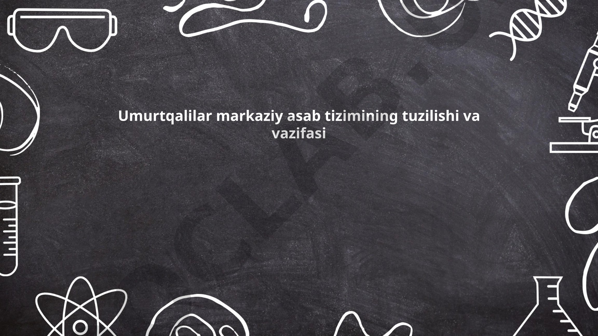 Umurtqalilar markaziy asab tizimining tuzilishi va vazifasi